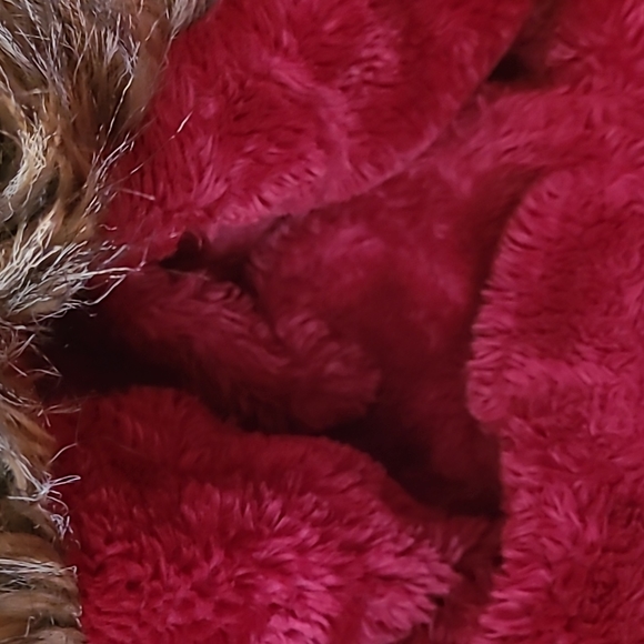 ECHO  JACKET - Picture 3 of 3